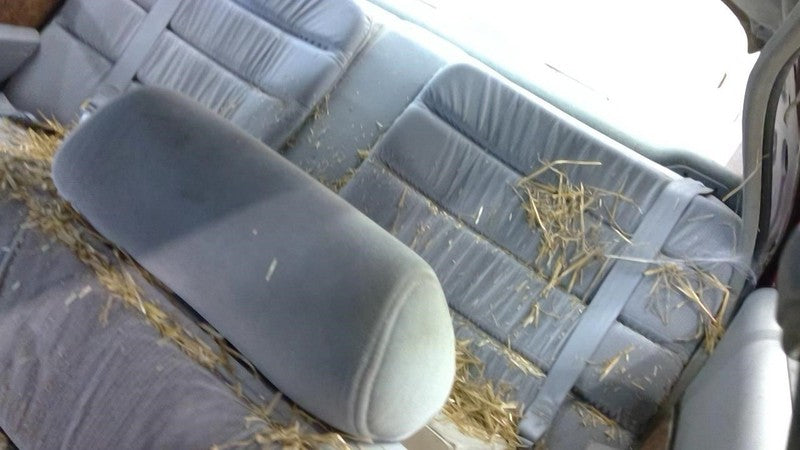 Buick Lesabre 1992 Headrest Used 1137