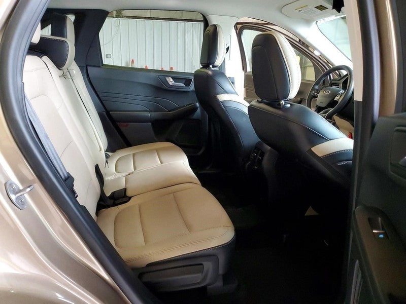 Ford Escape 2021 Headrest Used 2532