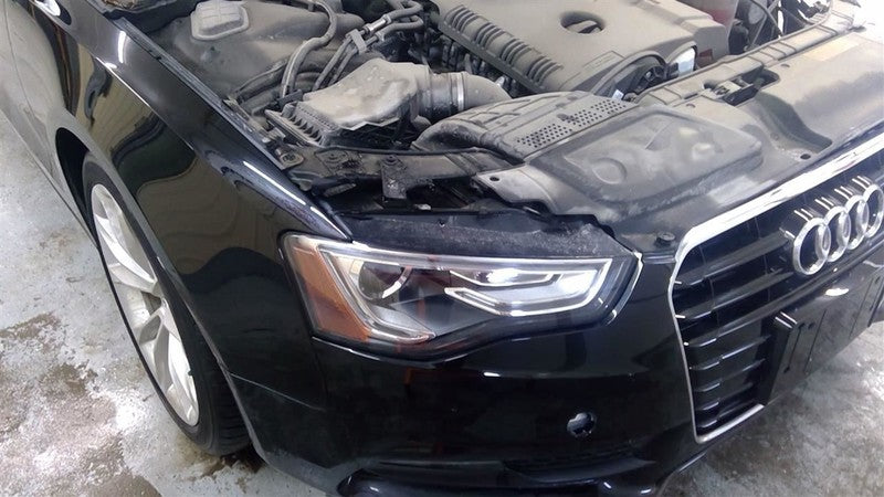 Passenger Corner/Park Light Fog-driving Fits 13-16 AUDI A5 1648627
