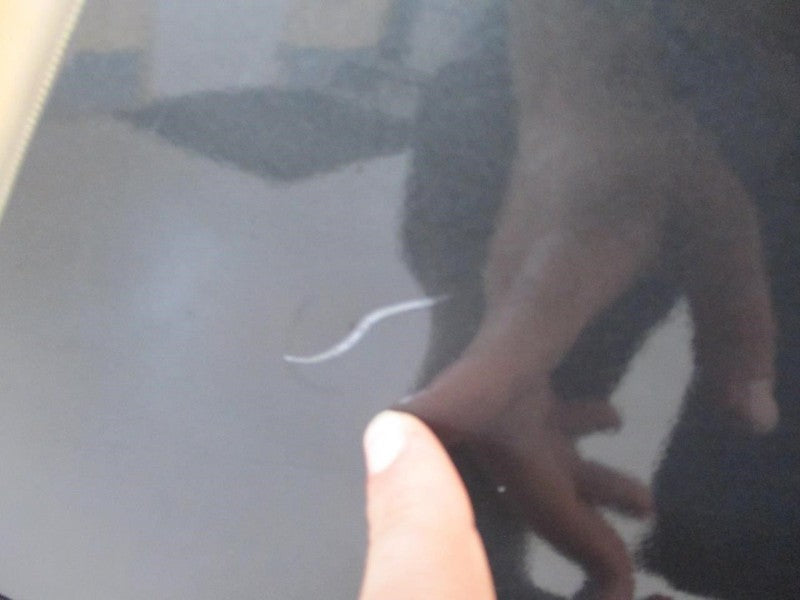 TOWN COUN 2012 Door Trim Panel Rear 2069238
