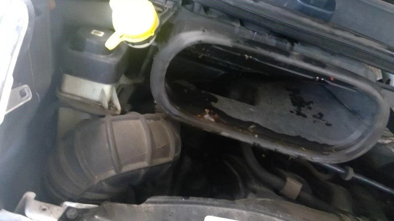 Air Cleaner Fits 14-22 PROMASTER 1500 VAN 2010309