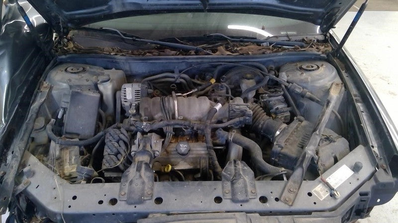 Passenger Right Rear Window Regulator Fits 04-08 GRAND PRIX 1971768