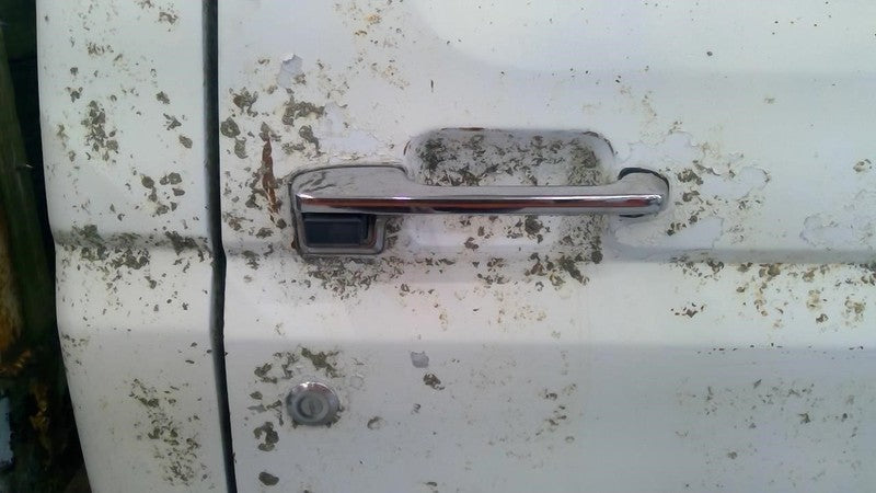 F250 1982 Door Handle Exterior 1734790