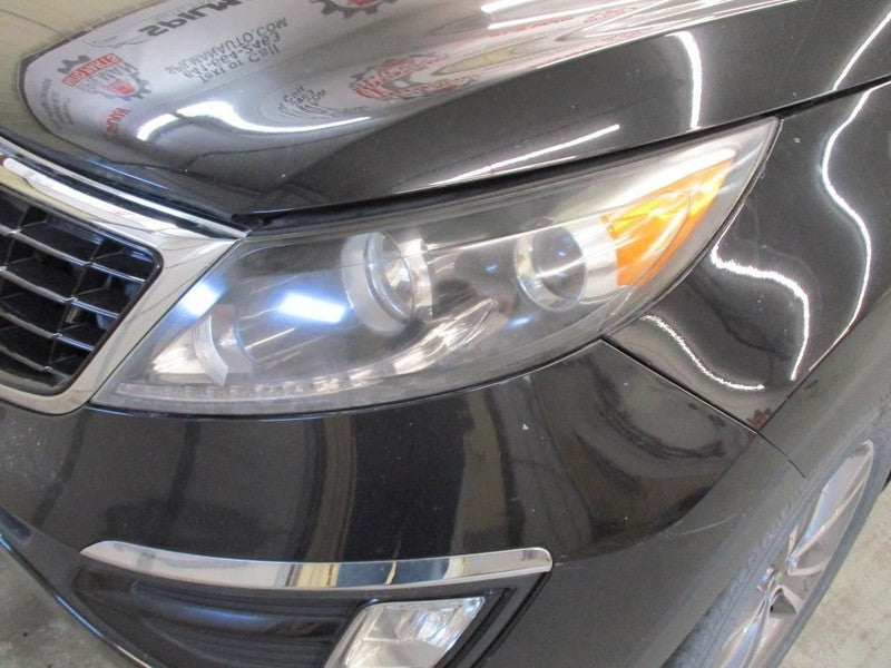 Kia Sportage 2014 Headrest Used 4687