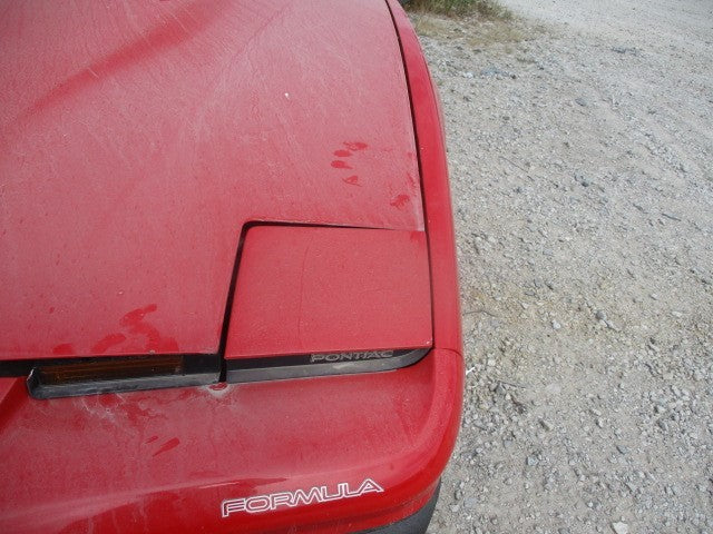 FIREBIRD 1989 Sun Visor 1601109