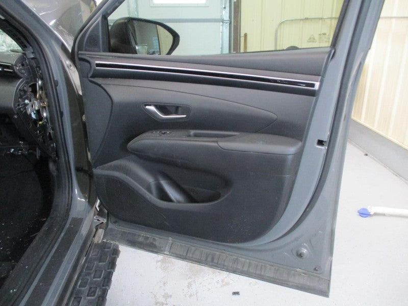 SANTACRUZ 2022 Front Door Trim Panel 1627875