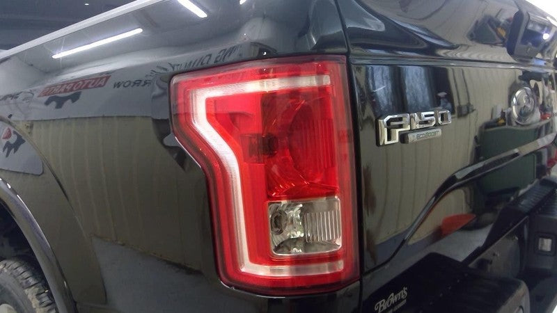 Driver Tail Light Styleside Incandescent Fits 15-17 FORD F150 PICKUP 1