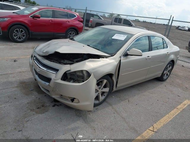 MALIBU 2011 Seat Belt Rear 1997595