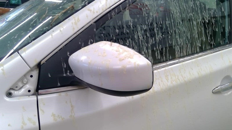 Driver Side View Mirror Power Non-heated Fits 13-15 SENTRA 2030344