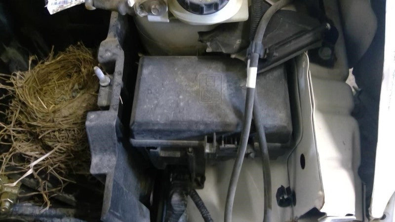 Ford Fiesta 2016 Headrest Used 3597