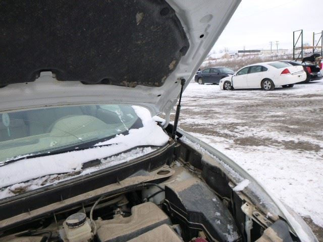 Passenger Right Headlight Halogen Fits 09-10 MURANO 1069179
