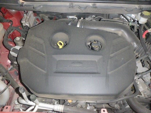 EDGE 2018 Seat Belt Rear 1720410