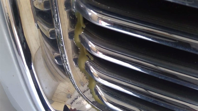Driver Left Headlight Fits 02-09 ENVOY 1666820