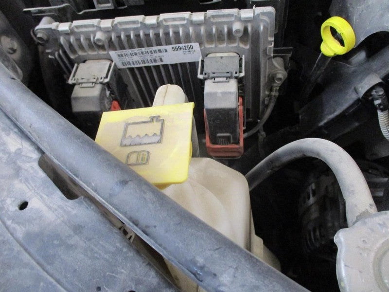DURANGO 2015 Seat Belt Rear 1895704