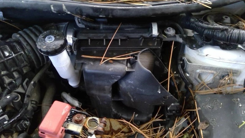 Air Cleaner Fits 13-19 SENTRA 2030320