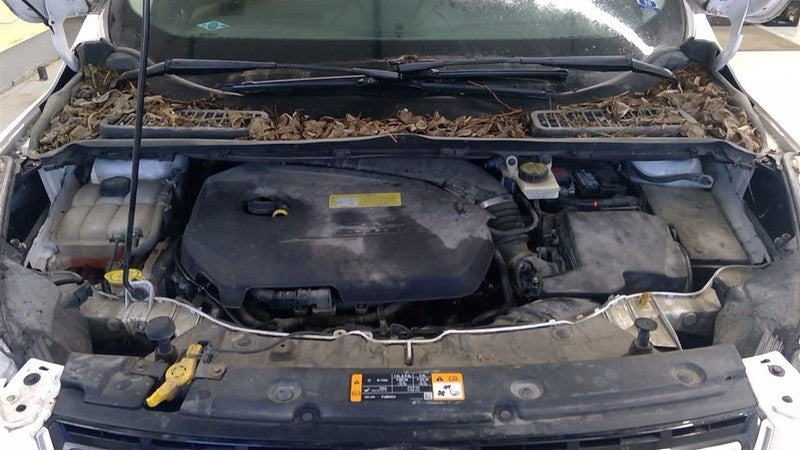 Grille Upper Titanium Fits 13-16 ESCAPE 1668859