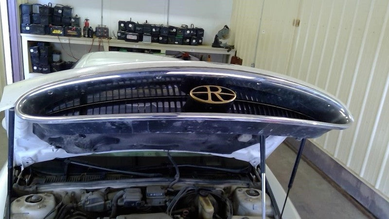 Grille Fits 95-99 RIVIERA 1923553