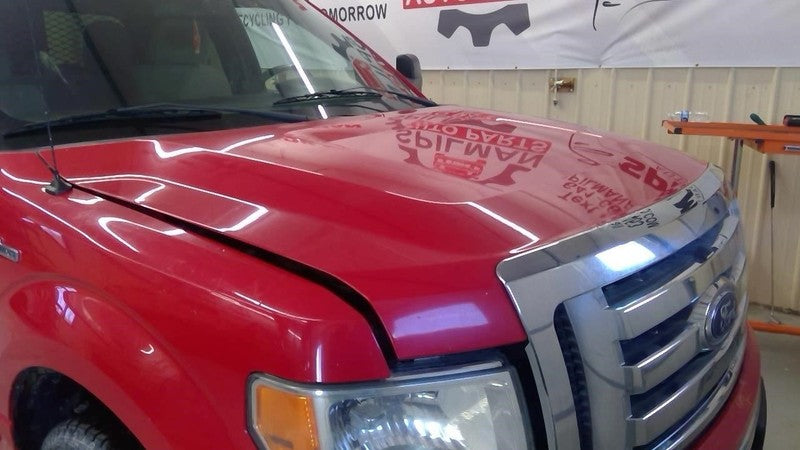 F150 2010 Seat Belt Rear 1734153