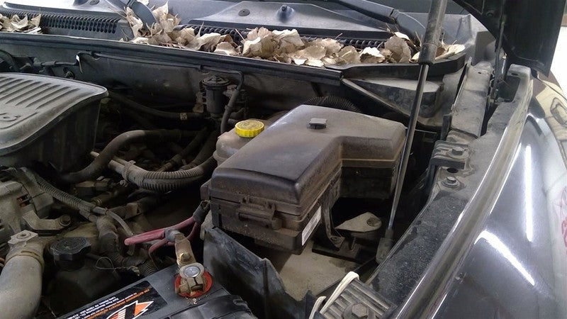 Brake Master Cylinder Rear Wheel ABS Fits 06-10 DAKOTA 1652860