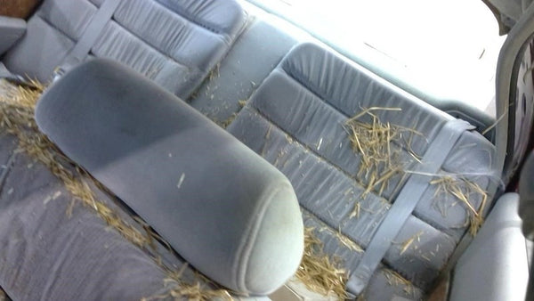 Buick Lesabre 1992 Headrest Used 1137