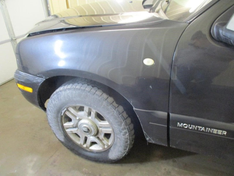 MOUNTNEER 2007 Dash Bezel 1743895
