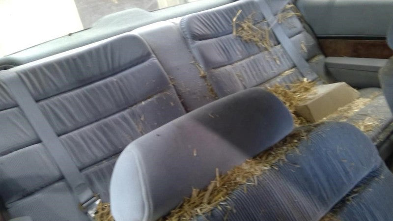 Buick Lesabre 1992 Headrest Used 1129