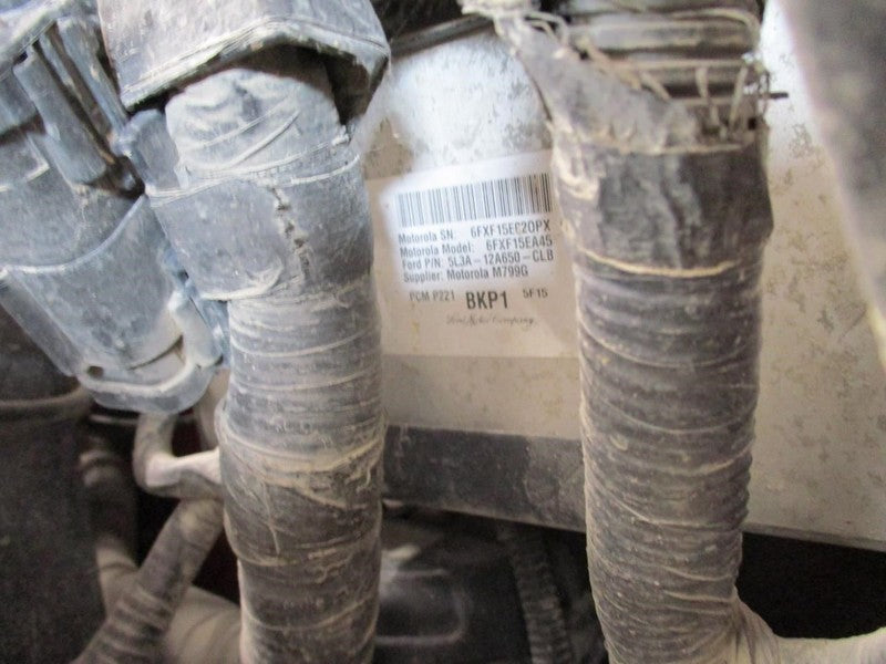 F150      2005 Seat Belt Rear 1679381
