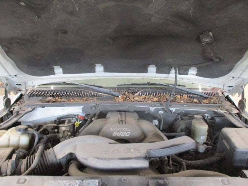 DENALI XL 2002 Seat Belt Rear 1681620