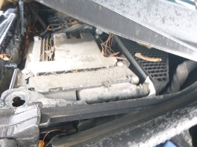 Passenger Right Headlight Halogen Fits 07-09 AUDI Q7 1661186