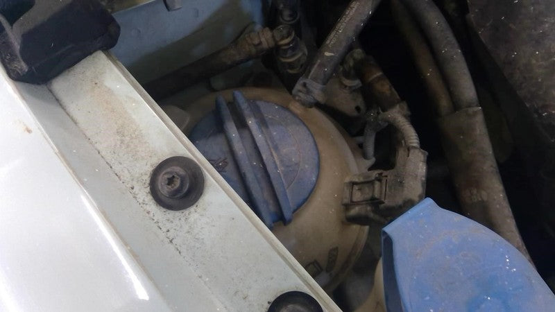 Volkswagen Beetle 2005 Headrest Used 5788