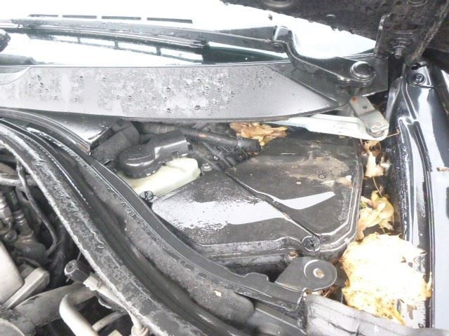 Passenger Right Headlight Halogen Fits 07-09 AUDI Q7 1661186