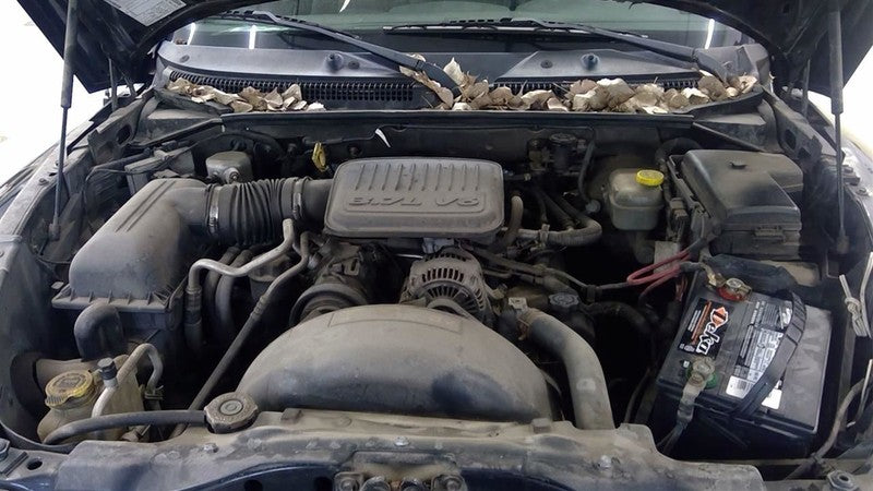 Brake Master Cylinder Rear Wheel ABS Fits 06-10 DAKOTA 1652860