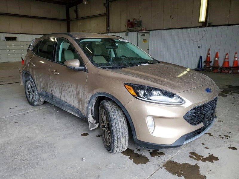 Ford Escape 2021 Headrest Used 2532