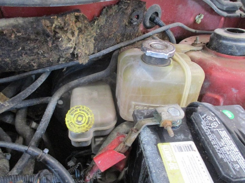 PACIFICA  2005 Hatchback Strut 2023659