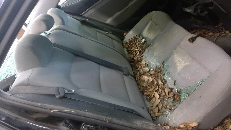 ELANTRA   2017 Seat Rear 1968122
