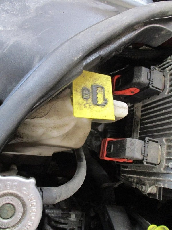 GRANDCHER 2015 Seat Belt Rear 1850768