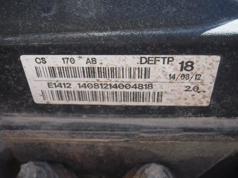 Driver Left Rear Door Glass Tinted Fits 12-18 FOCUS 1061495