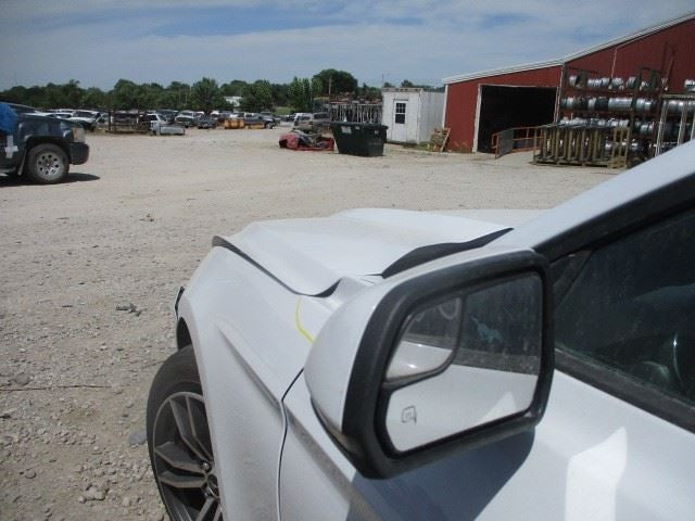 MUSTANG   2016 Front Door Trim Panel 1574147