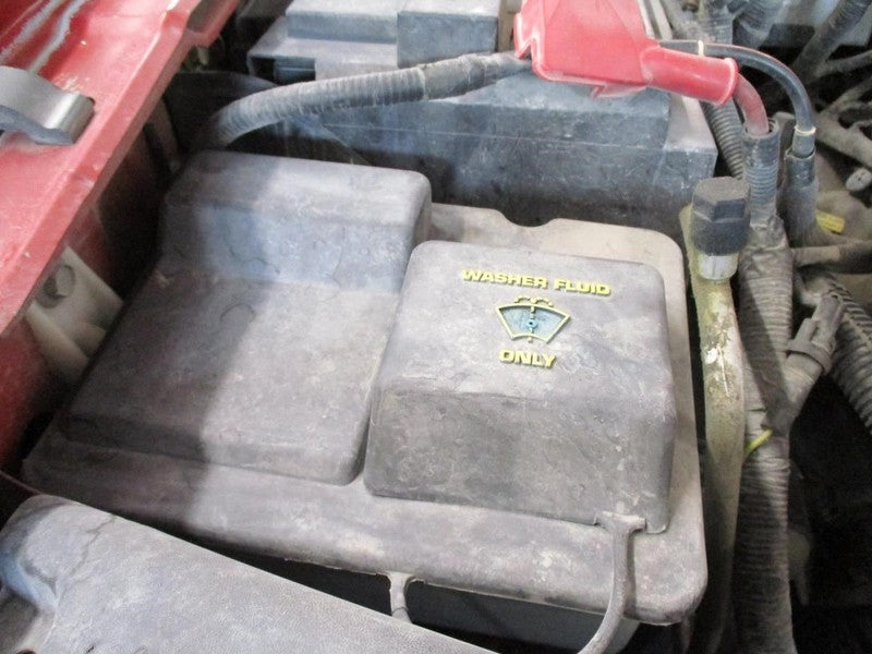 F150      2005 Seat Belt Rear 1679381