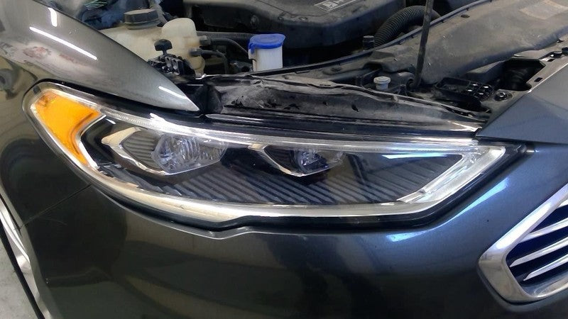 FUSION    2019 Seat Belt Rear 1904324