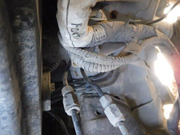 Driver Left Rear Door Glass Tinted Fits 12-18 FOCUS 1061495