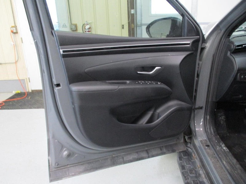 SANTACRUZ 2022 Front Door Trim Panel 1627876
