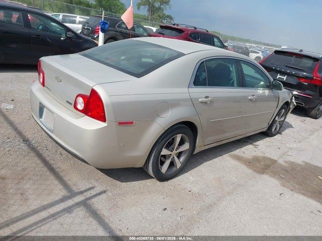 MALIBU    2011 Seat Belt Rear 1997596
