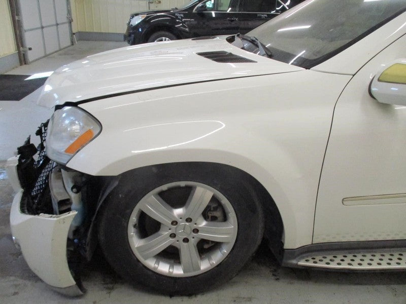 GL450     2009 Hatchback Strut 2033292