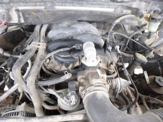 Driver Left Front Door Glass Heritage Fits 97-04 FORD F150 PICKUP 1164