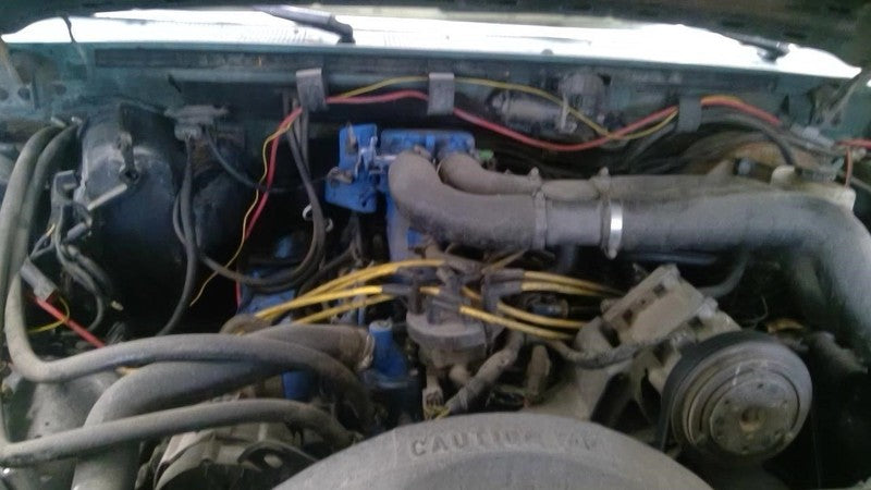 F350      1989 Seat Belt Rear 2019616