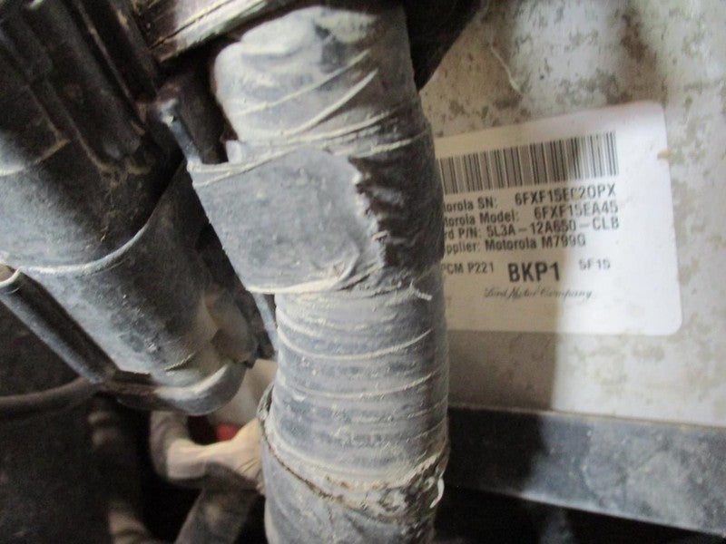 F150      2005 Seat Belt Rear 1679381
