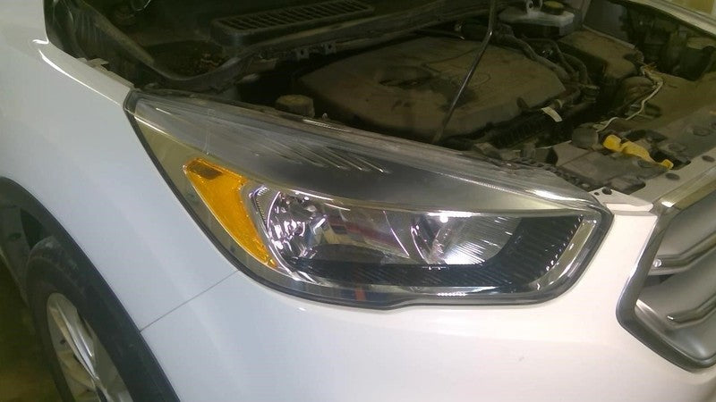 Passenger Headlight Halogen Chrome Bezel Fits 17-19 ESCAPE 2016863