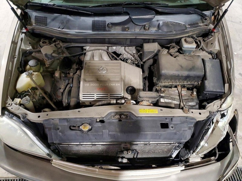 RX300     2001 Hatchback Strut 1896069