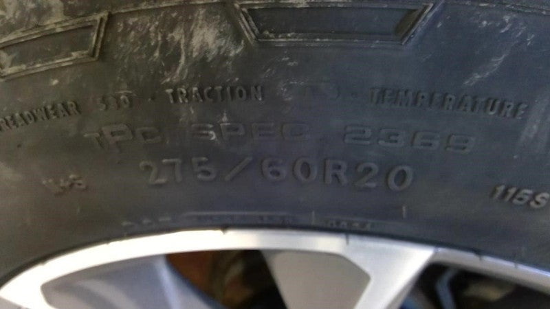 SILVRDO15 2019 Seat Belt Rear 1912465